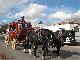 Tombstone, Arizona (美国)